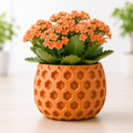 Geometric 3D Printed Pot Plant
